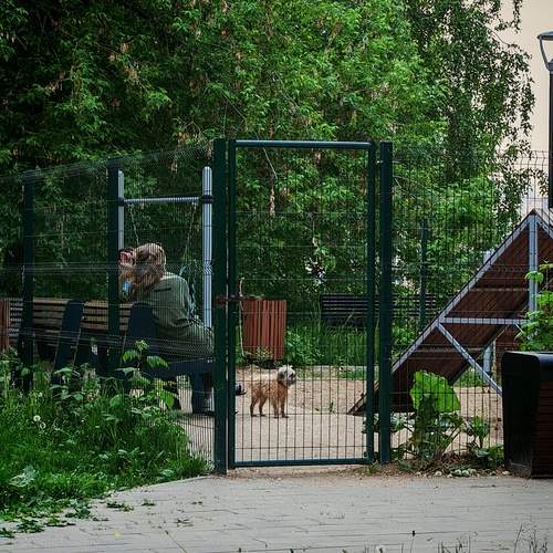 Photo #13721062