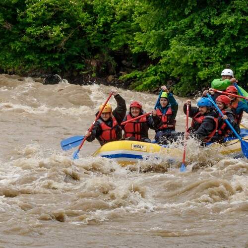 Photo #13721074