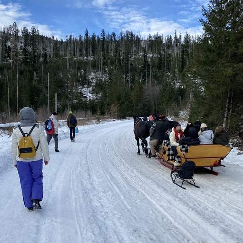 Photo #13721102