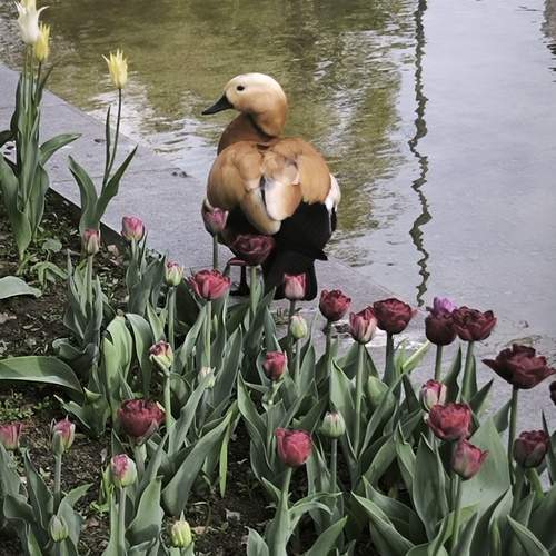 Photo #13721122