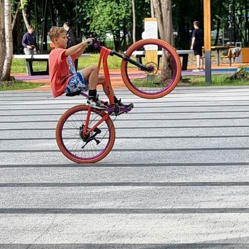Photo #13721208