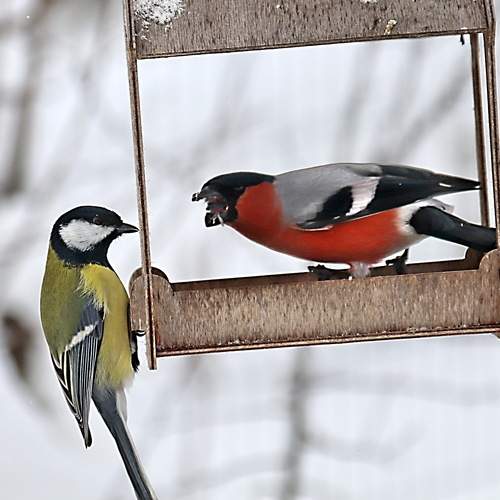 Photo #13721249