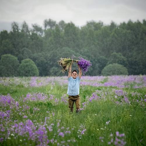 Photo #13721321