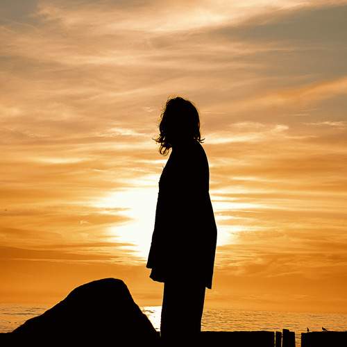 Photo #13721399