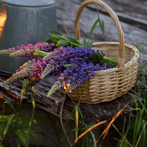 Photo #13721436