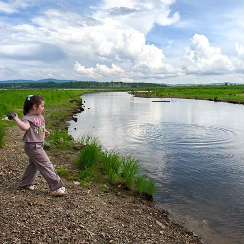 Photo #13721499