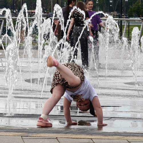 Photo #13721500