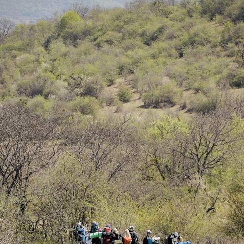 Photo #13721506