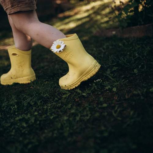 Photo #13721510