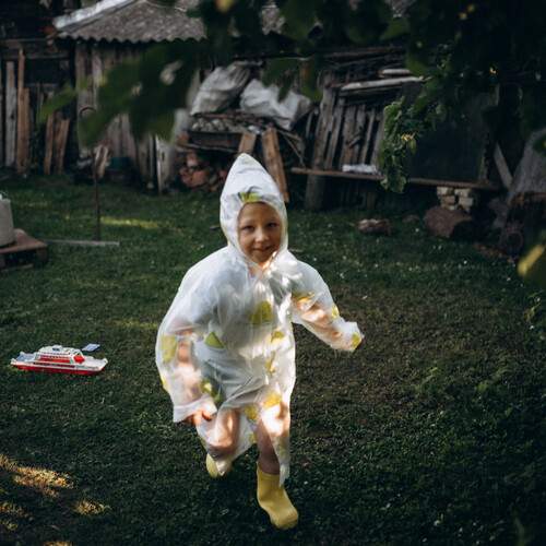 Photo #13721513