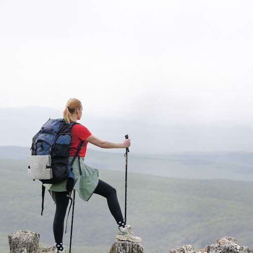 Photo #13721518