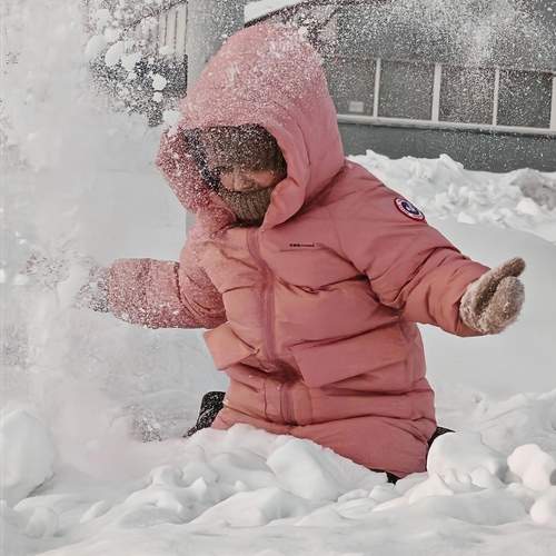 Photo #13721523