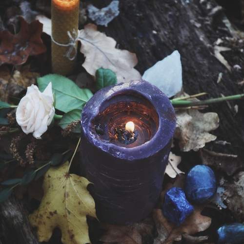 Photo #13721600