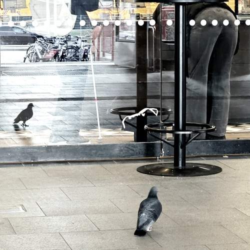 Photo #13721637