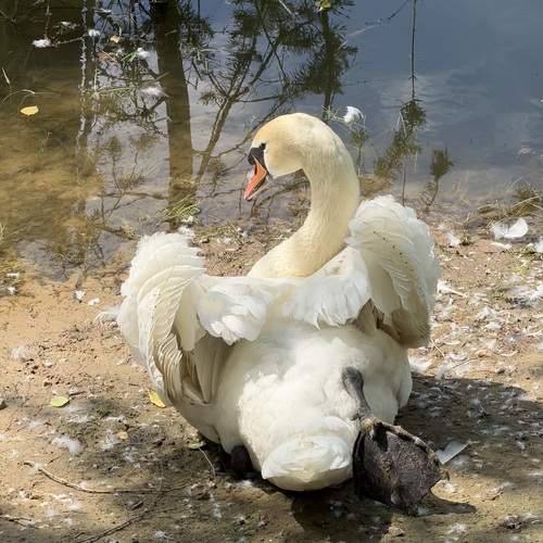 Photo #13721641