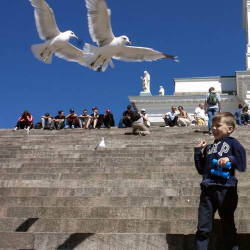 Photo #13721653
