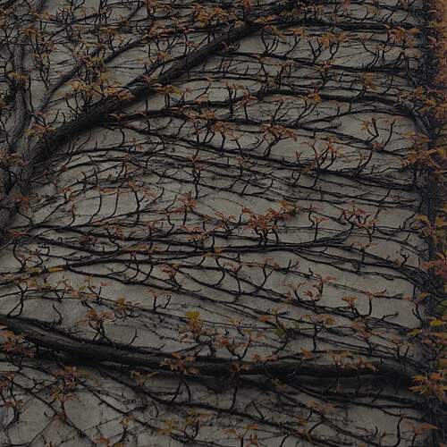 Photo #13721696
