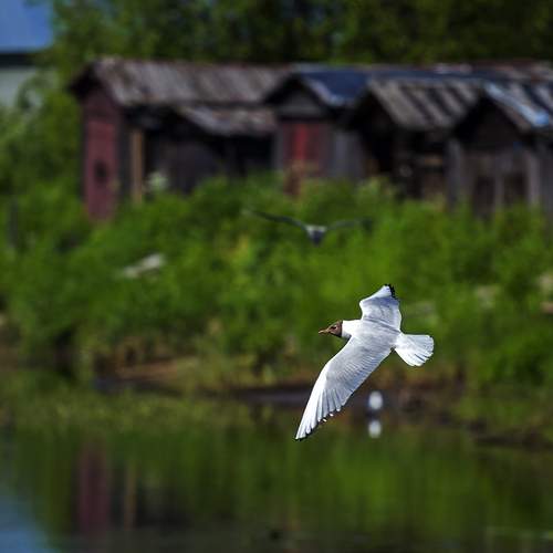 Photo #13721734