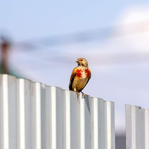 Photo #13721757