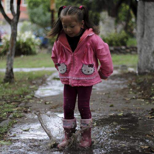 Photo #13721774