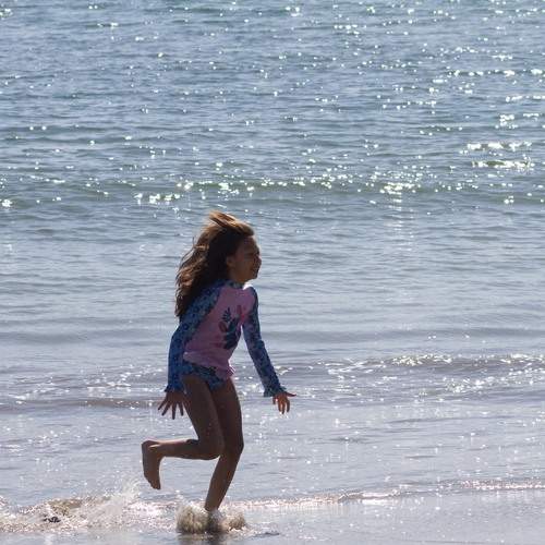 Photo #13721780