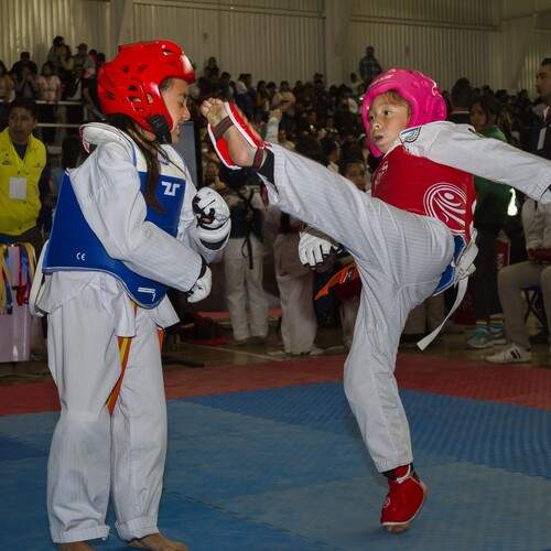 Photo #13721781