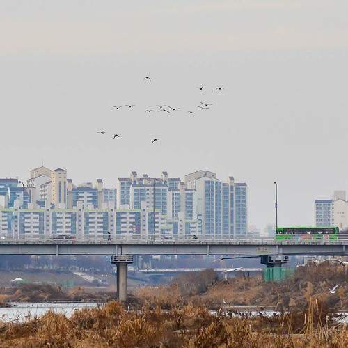 Photo #13721882