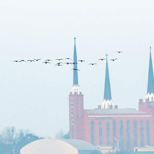 Photo #13721885