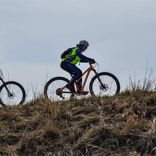 Photo #13721895