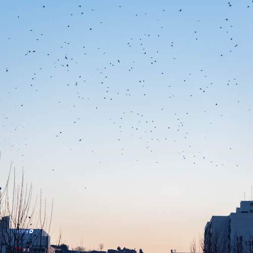 Photo #13721897