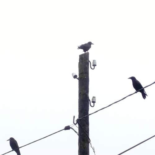 Photo #13722036