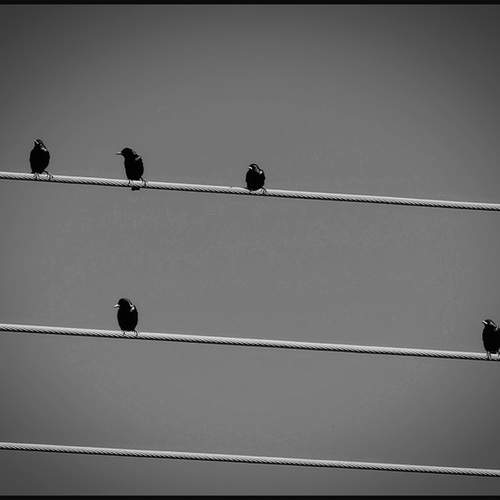 Photo #13722056