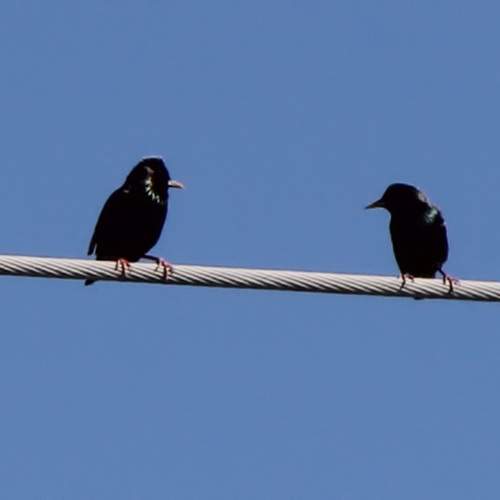 Photo #13722057