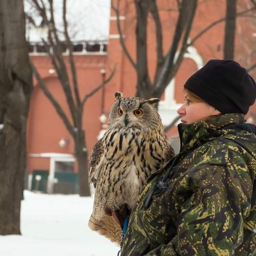 Photo #13722080