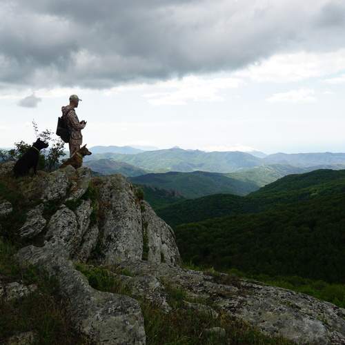 Photo #13722117