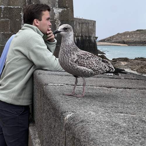 Photo #13722135