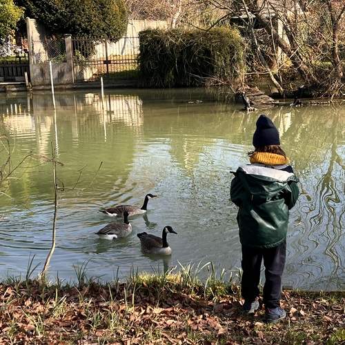 Photo #13722136