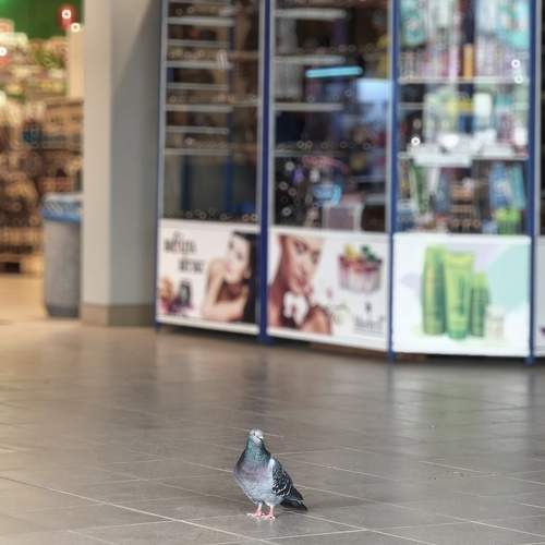 Photo #13722195