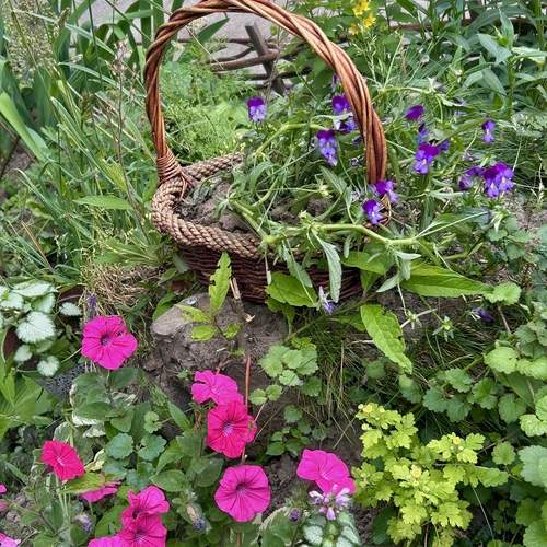 Photo #13722205