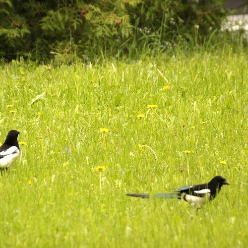 Photo #13722219