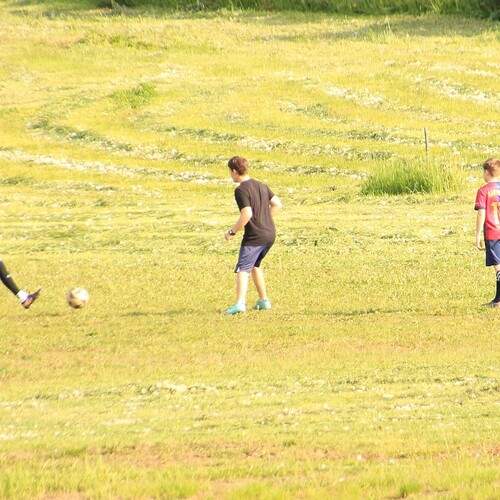 Photo #13722228