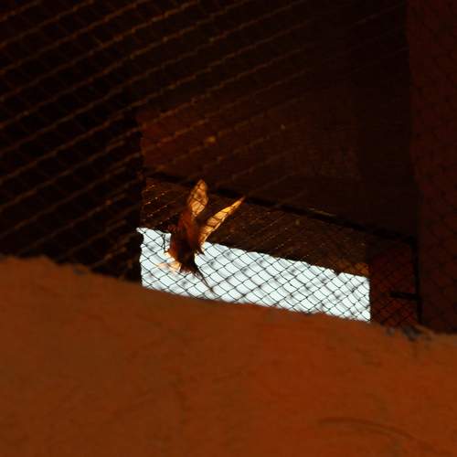 Photo #13722249