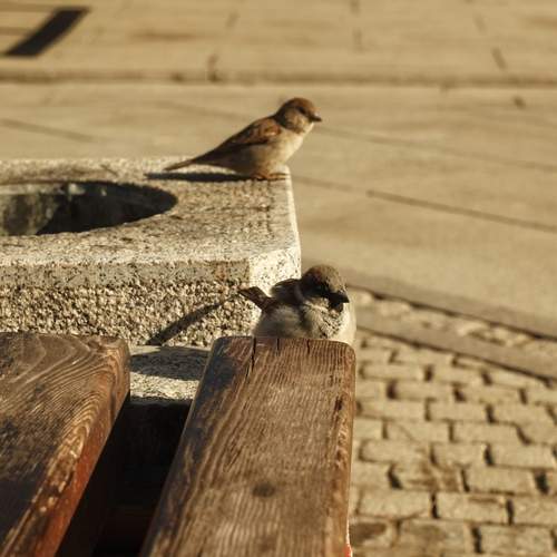 Photo #13722251