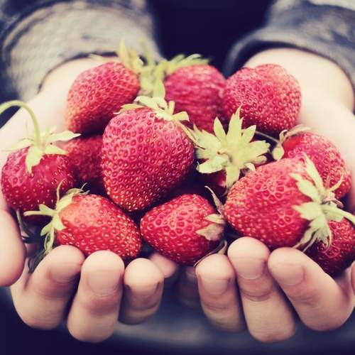 Photo #13722308