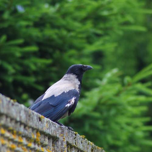 Photo #13722344