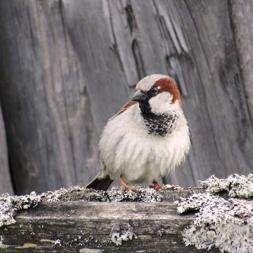 Photo #13722367