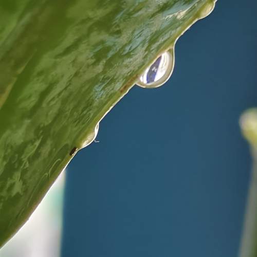 Photo #13722388