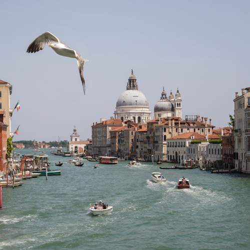 Photo #13722415