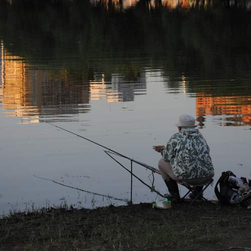 Photo #13722541