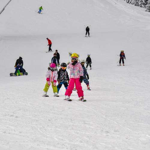 Photo #13722548